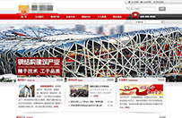 �����ֽṹ��ҵ���Ź�˾ģ��